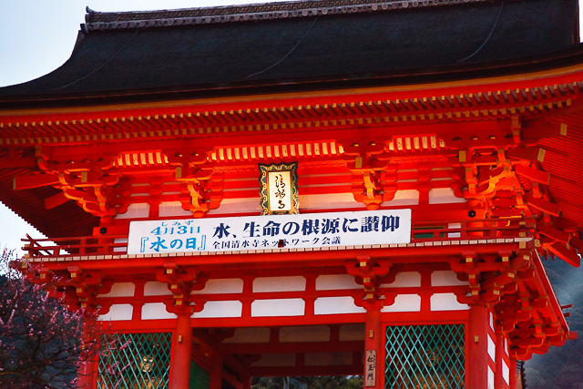 水の祈り展